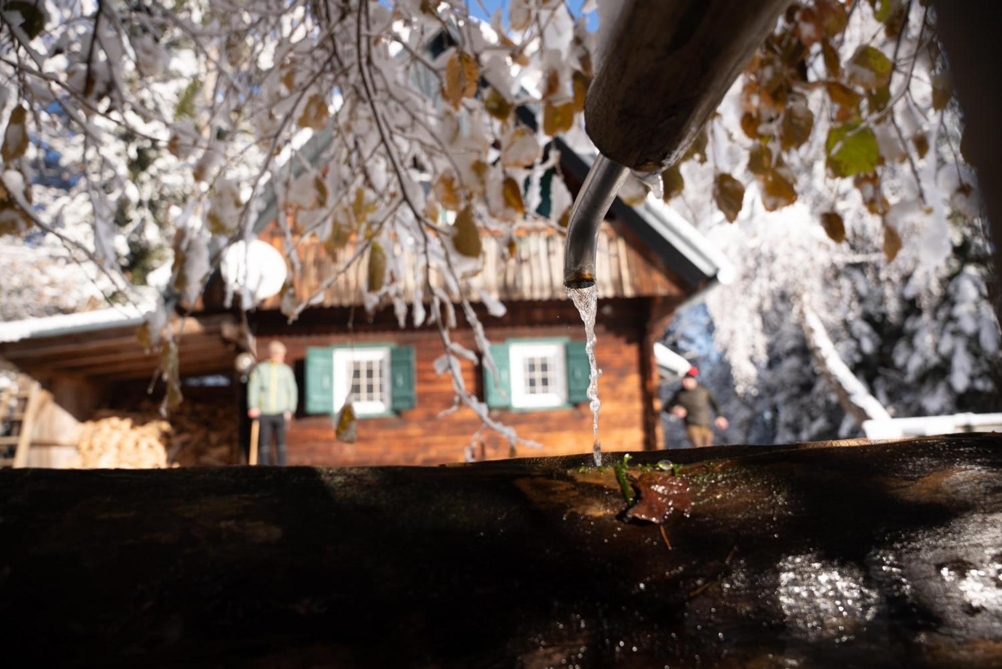 Gregor'S Ferienhaus Im Wald Villa Edelschrott Bagian luar foto