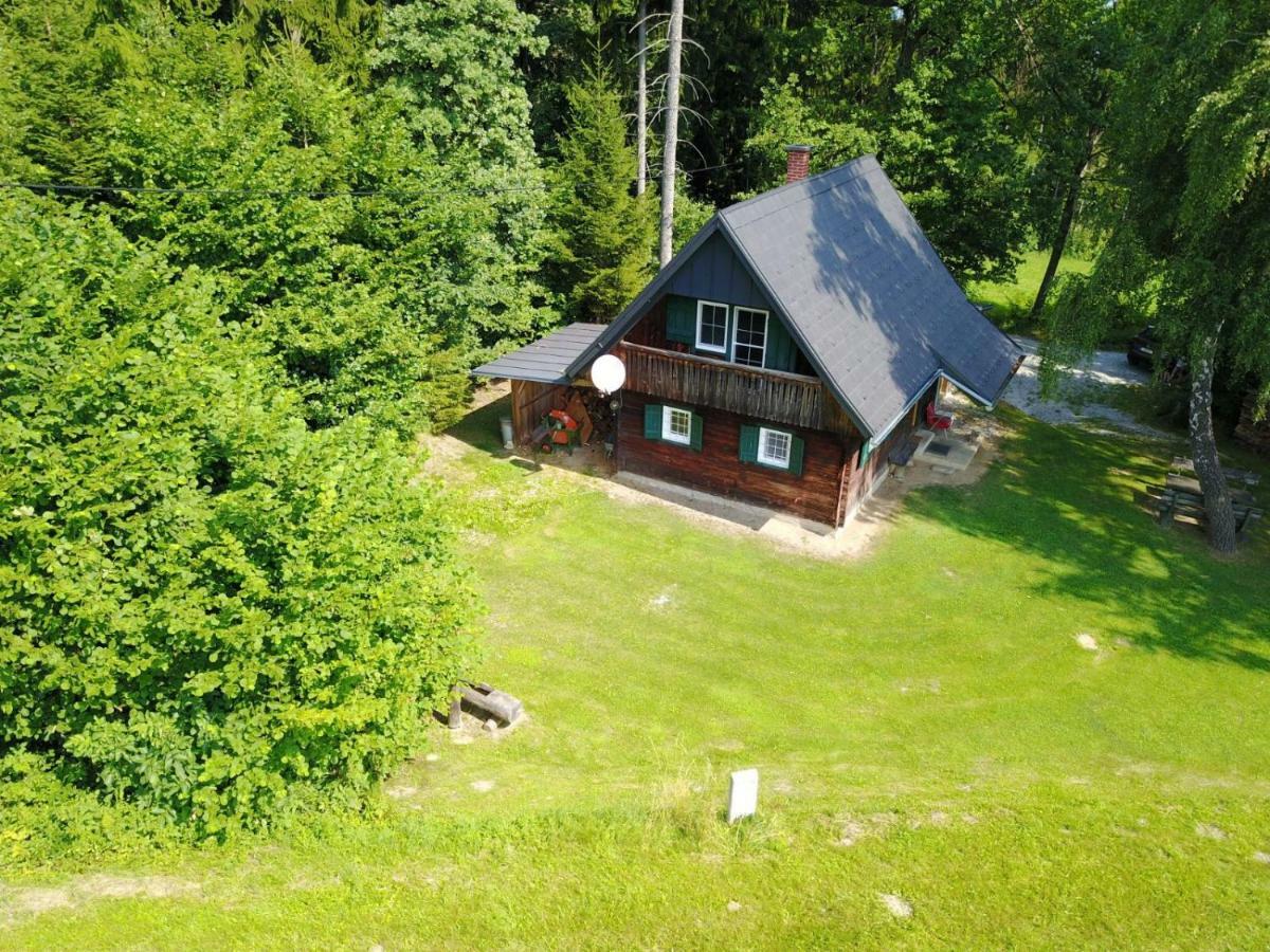 Gregor'S Ferienhaus Im Wald Villa Edelschrott Bagian luar foto